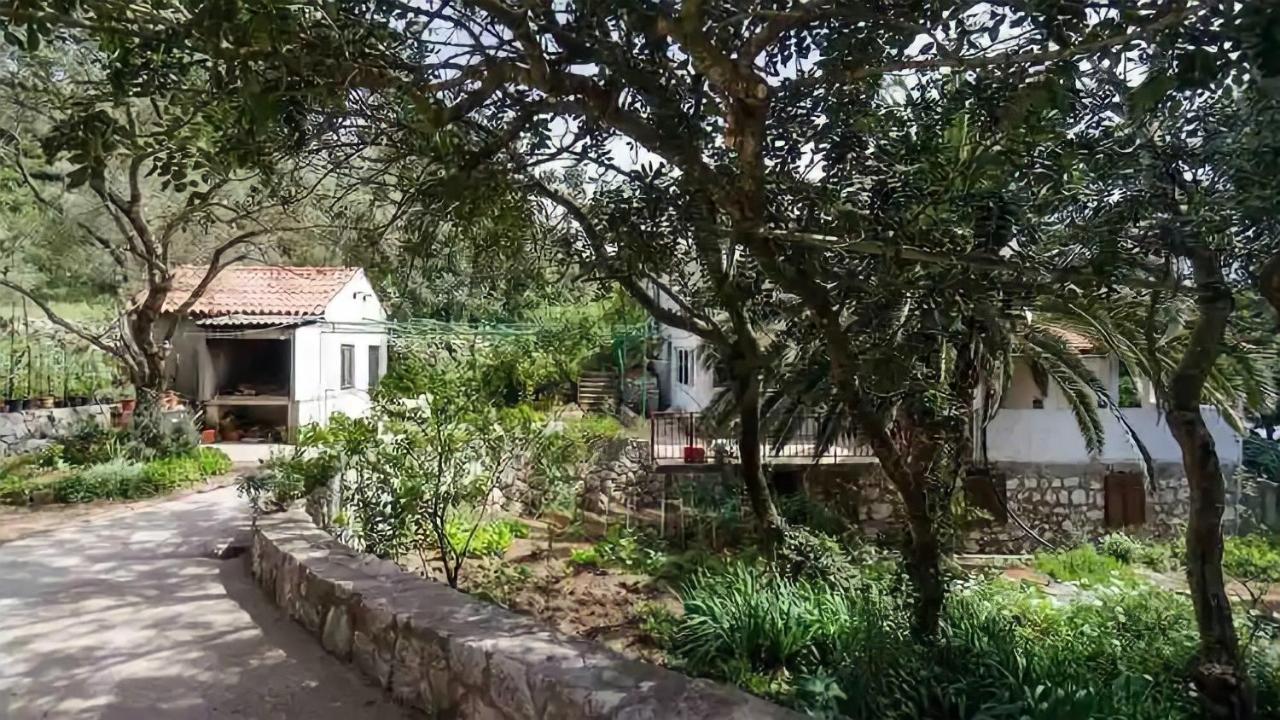 Podskoj Apartments Saplunara Bagian luar foto